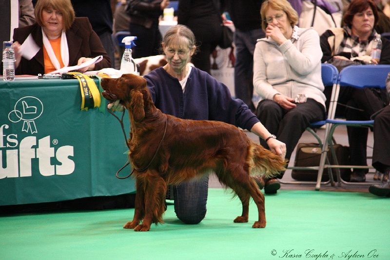 Crufts2011 344.jpg